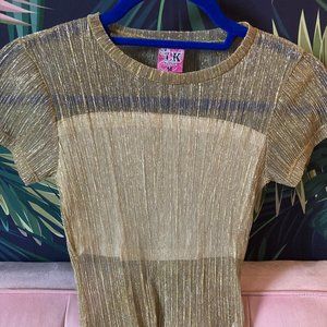 Sparkly Golden & Silver See-through Stretchy Top
